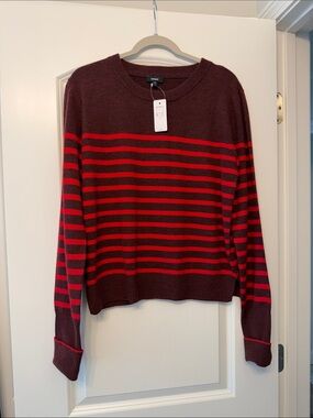 Express  sweater NWT size m